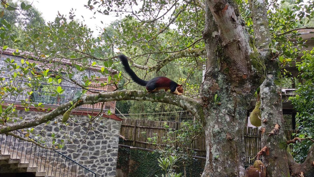 Wildernest Bed & Breakfast เทกคาดี ภายนอก รูปภาพ