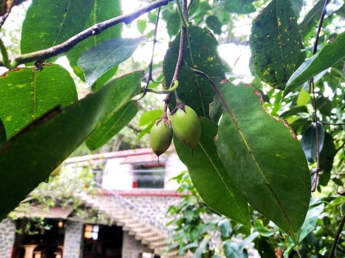 Wildernest Bed & Breakfast เทกคาดี ภายนอก รูปภาพ