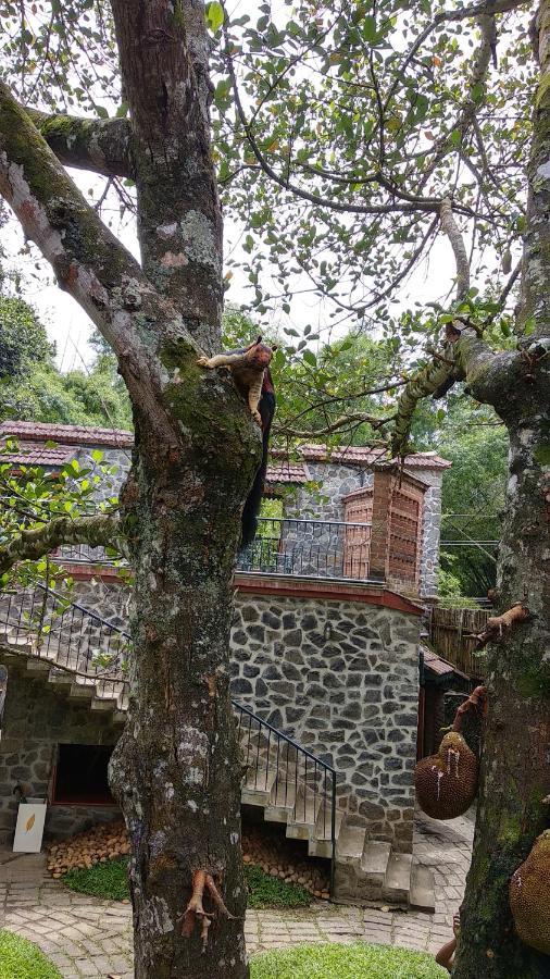 Wildernest Bed & Breakfast เทกคาดี ภายนอก รูปภาพ